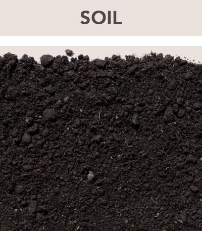 Soil1