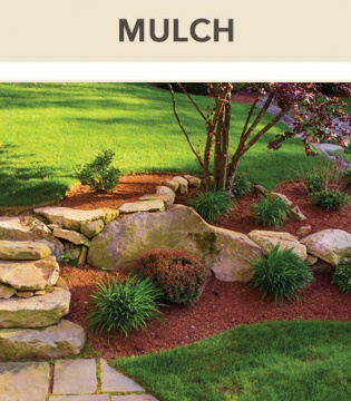 Mulch1-1-315x360-2