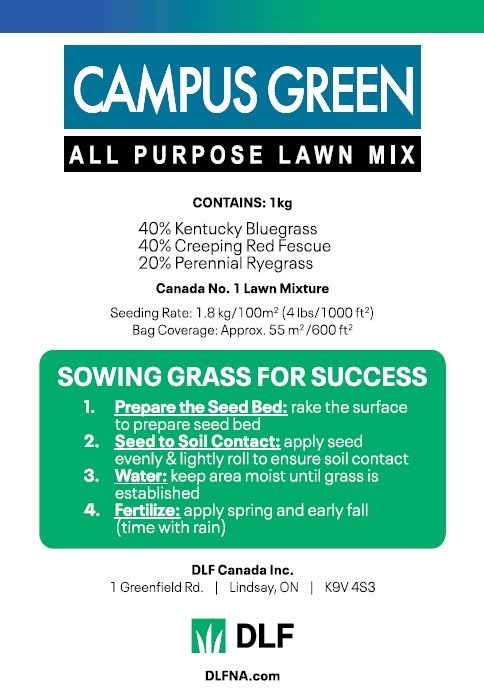 Campus Green Grass Seed - Image 2