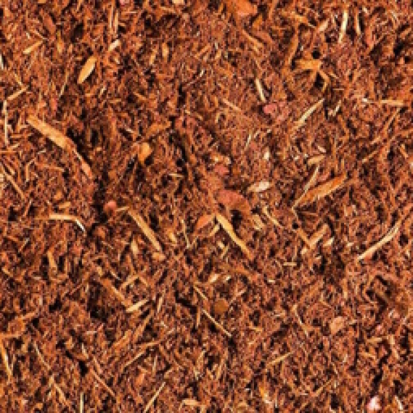 Hemlock Mulch