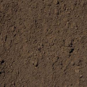 Screened Topsoil